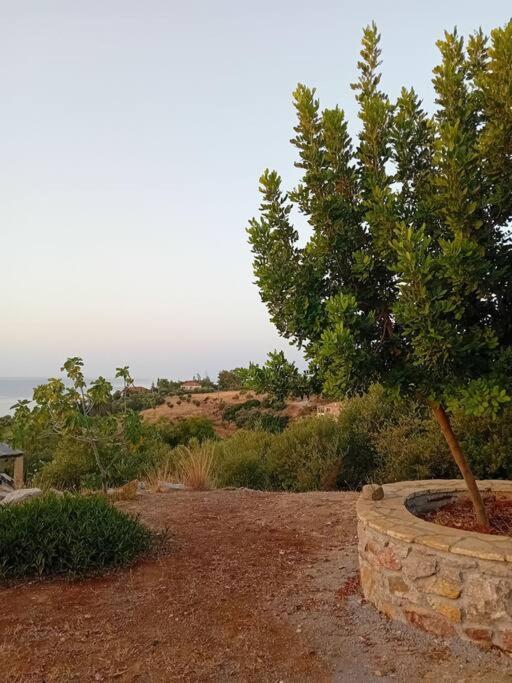 Sofia's Summer House Apartment Koroni (Messinia)